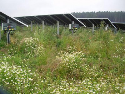 solarpark