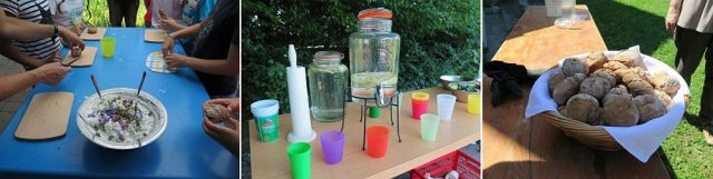 Umweltbildung in Adelshofen